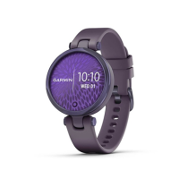 Garmin Lily