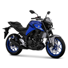 Yamaha MT-25